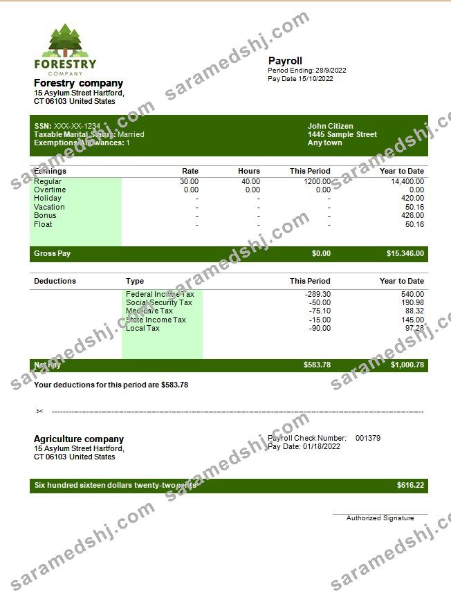forestry company payslip template in Word and PDF formats